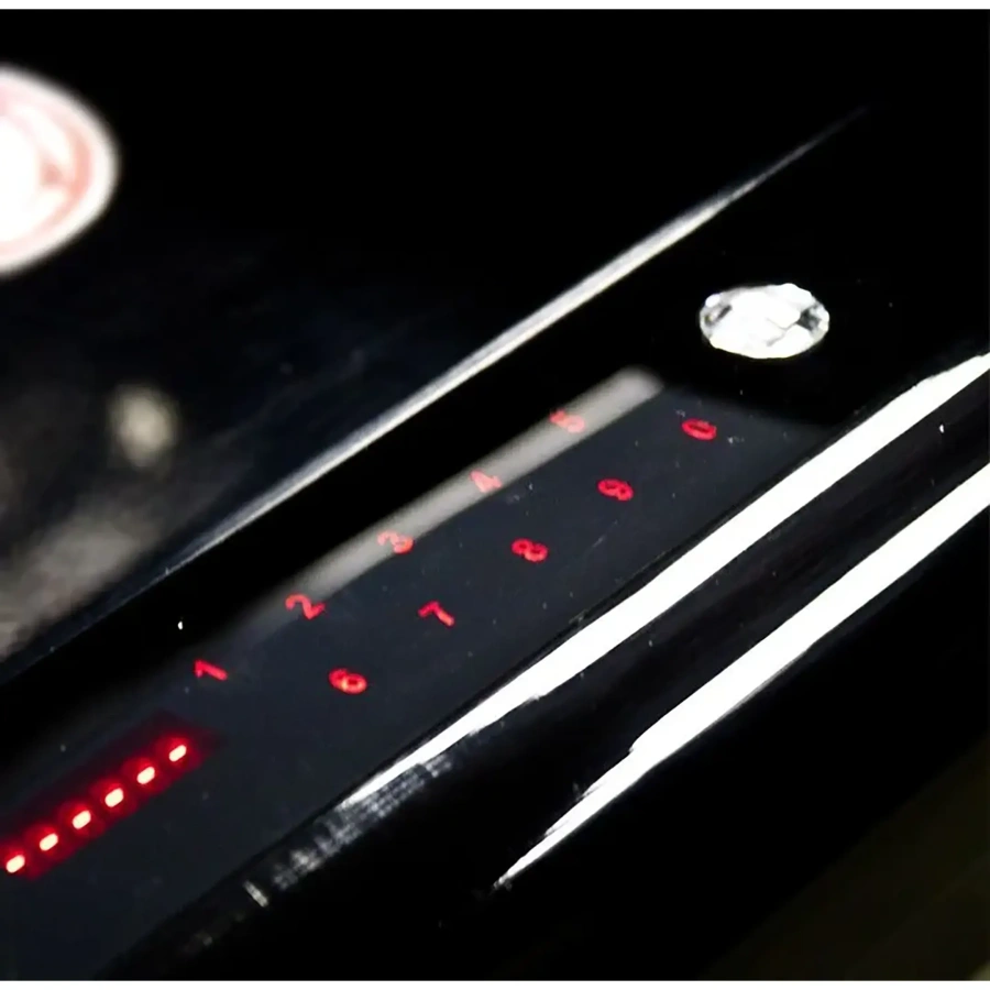 Сейф Lucell LU-1000BP1 FP «ПОЦЕЛУЙ» Густава Климта